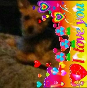 Meet your Posher, Billy